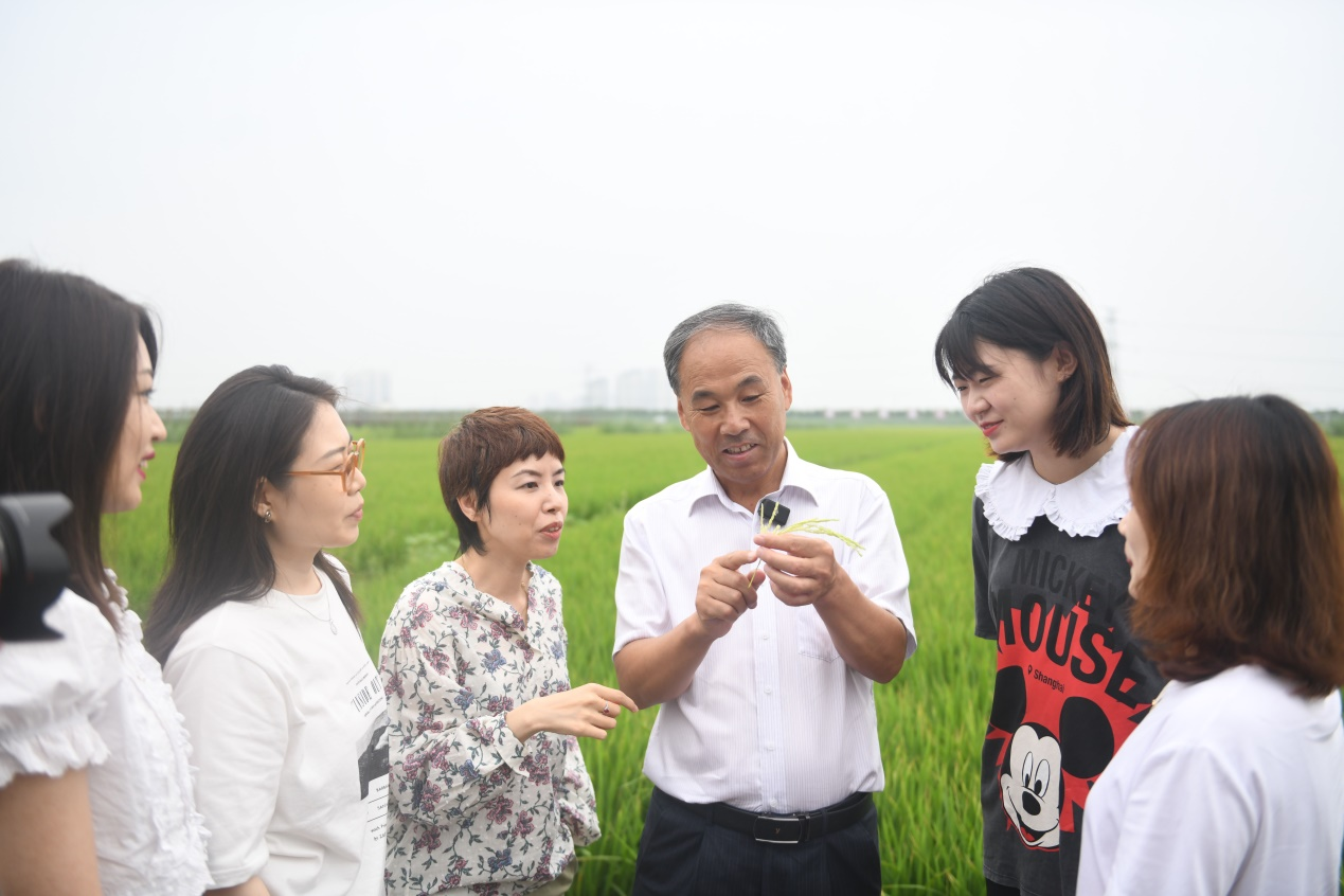 天津特色農產品小站稻登上肯德基餐桌(圖5) 天津特色農產品小站稻登上肯德基餐桌(圖5)